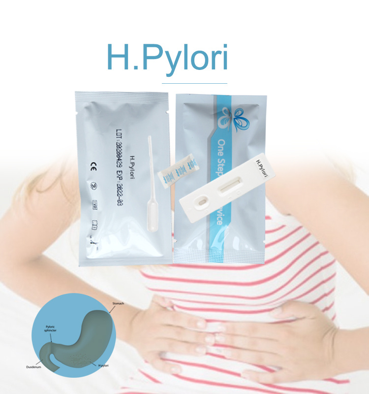 Factory Sale Helicobacter Pylori Antigen Test Kit Rapid Diagnostic Kits HP AG Rapid Test CE Marked