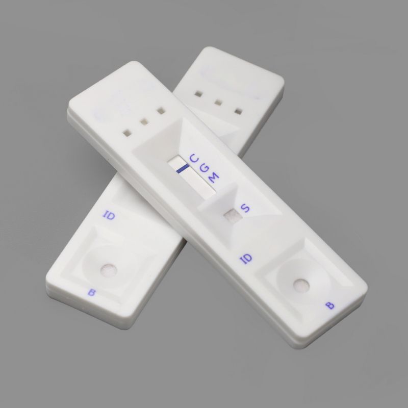 Antibody Rapid Test Kit Igg Igm Antigen Rapid Test PCR Test Individual CE Certificate