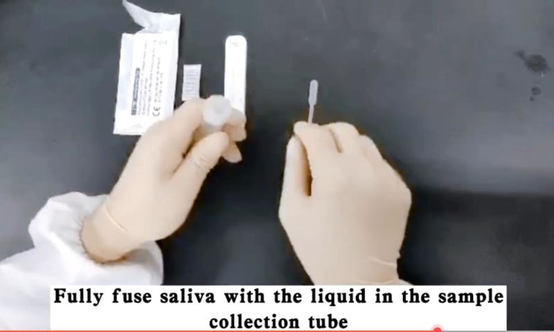 CE FDA Certified Saliva Salivary Antigen Rapid Test Cassette (swab) Test Kit Testing