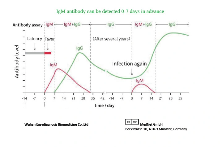 One Step Rapid Diagnostic Antibody Igm Igg Test Kit