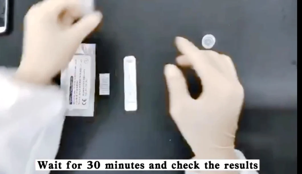 CE FDA Rapid Coil Test Kit Antigen Diagnostic Testing Real Time Saliva Swab Test