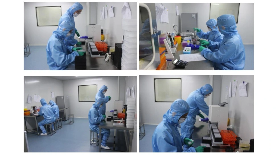 Igg Igm Rapid Test Kits Antibody Test with PCR Test Kit
