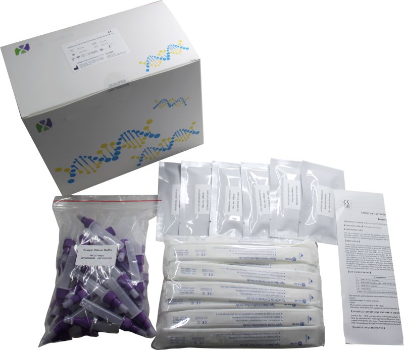 Antigen Rapid Test Kit Fast Delivery Antigen