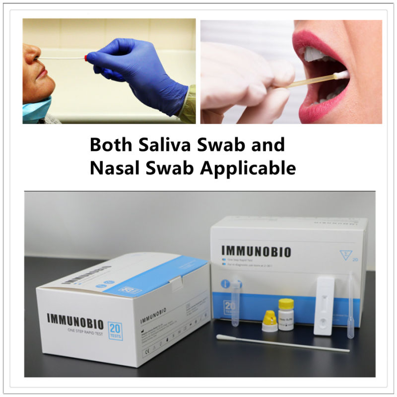 Ca 19 Saliva Swab Test Antigen Rapid Test Kit Antigen Test