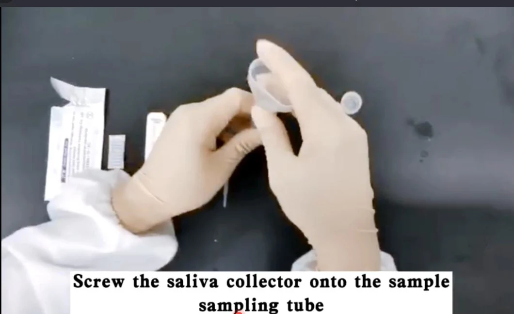 CE FDA Rapid Coil Test Kit Antigen Diagnostic Testing Real Time Saliva Swab Test
