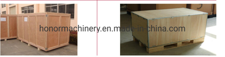 Fast Speed High Accuracy Beans Packing/Packaging/Filing/Weighing Machine
