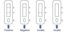 Antigen Rapid Test Antigen Test CE Marked PCR Antigen AG Swab Rapid Test Card