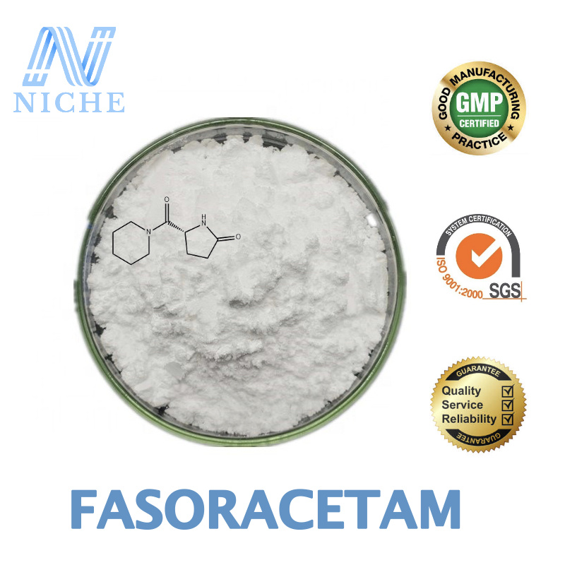 99% High Quality Nootropics Drugs Fasoracetam 110958-19-5 Lam-105 Powder USA Factory Fast Delivery
