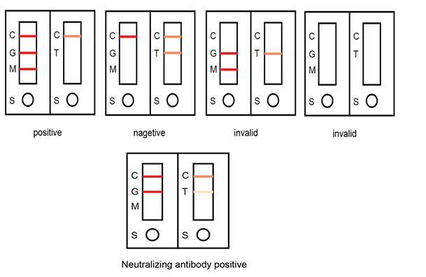 Rapid Antibody Test Diagnostic Kit Igm/Igg/Neutralizing Antibody Combined Rapid Test