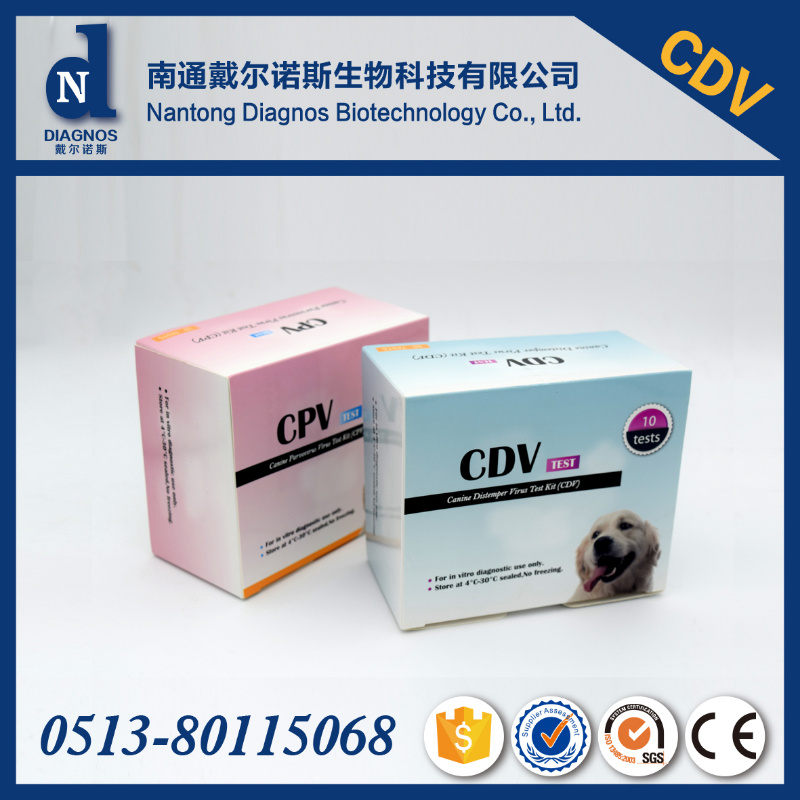 Cdv Rapid Test Cpv Canine Parvovirus AG Rapid Test