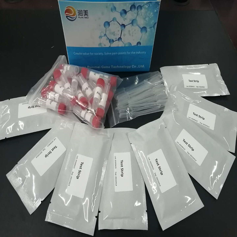 One Step Rapid Igg/Igm Antibody Diagnostic Medical Test Kit