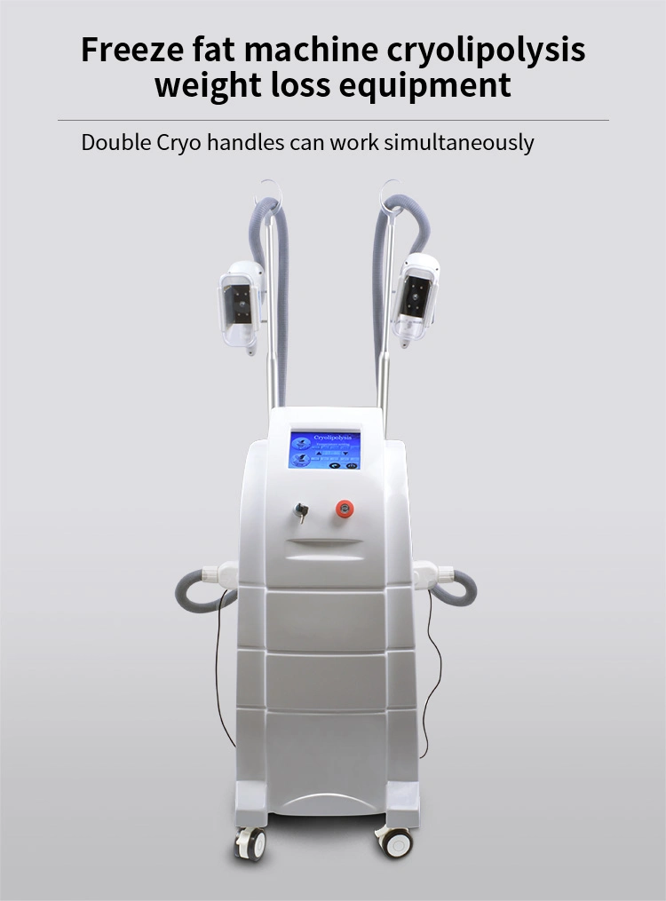 Effective Results Weight Loss for Body Slimming Cryo 40K Cavitation RF Beauty Machine