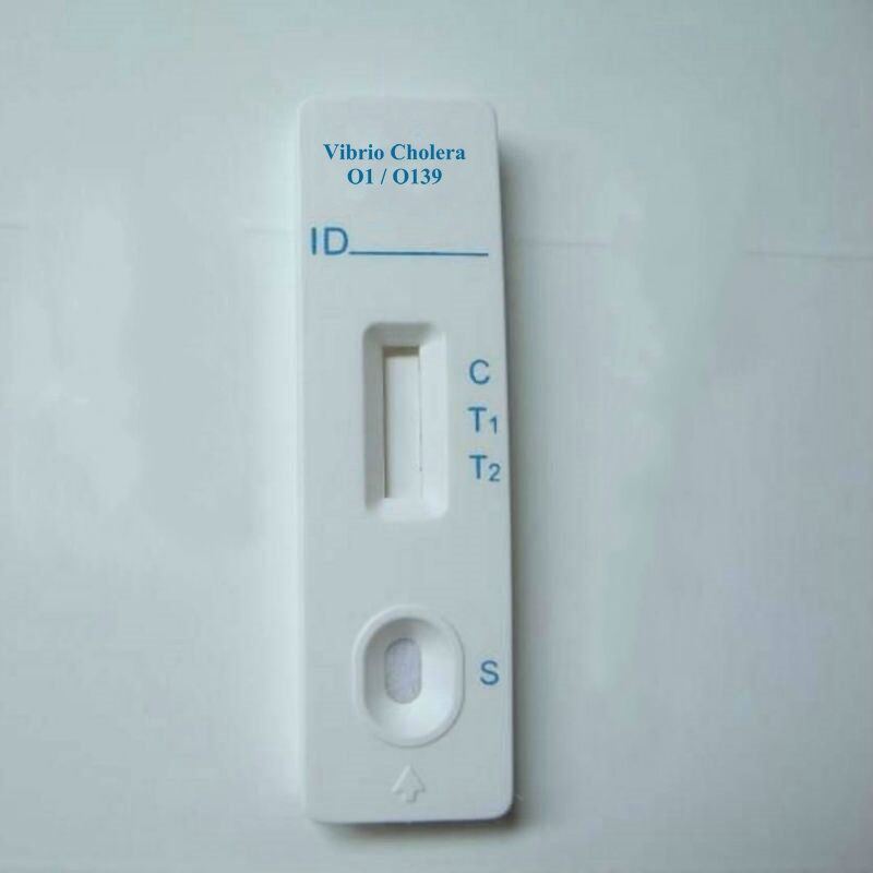 Medical Diagnostic Vibrio Cholera Rapid Test Card (Colloidal Gold)