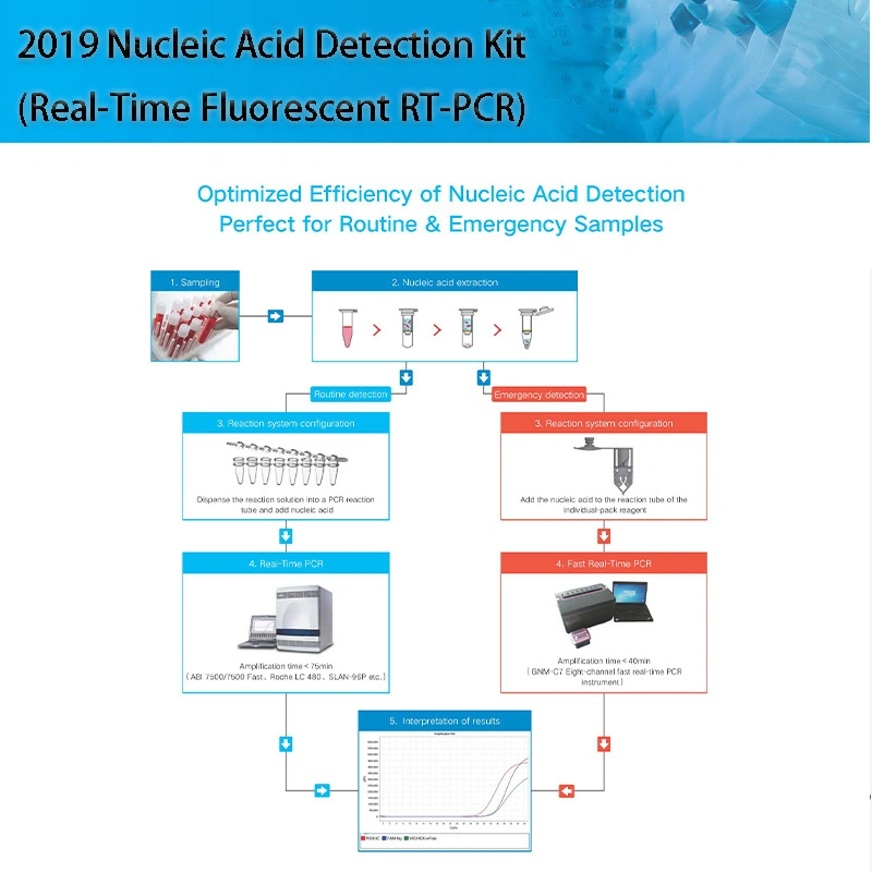 Igg/Igm Rapid Test Kit for Human Nucleic Acid Detection Kit (Fluorescence RT-PCR) Test Kit