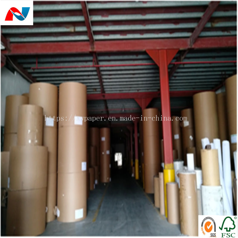 Hot Sale Jumbo Roll Kraft Paper for Packing and Wrapping
