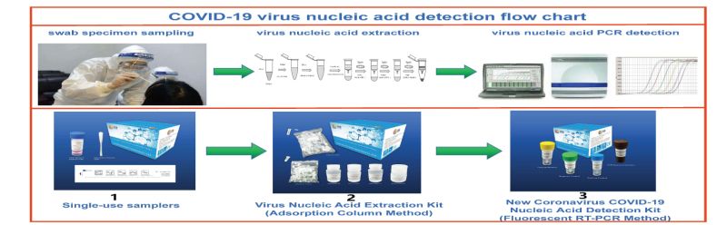 Virus Nucleic Acid Diagnosis PCR Test Kits Medical Use Fast Detection Kit