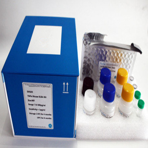 Caspase 9 Antibody/Elisa Antibody/Elisa Test Kits