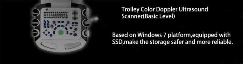 China Digital Diagnostic Instruments Color Doppler Ultrasound Scanner Excellent Performance