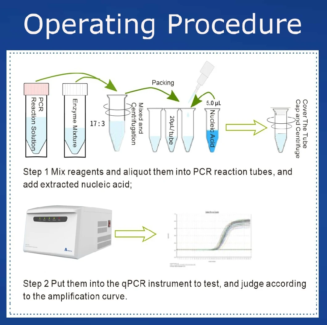 High Sensitivity Nucleic Acid Detection Testing Kits PCR Machine
