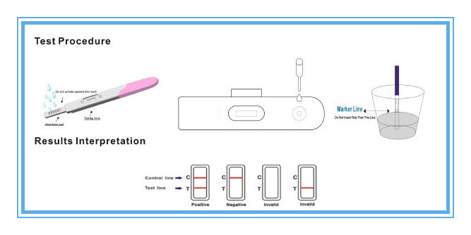 Rapid Diagnostic Wholesale HCG Pregnancy Test Midstream Device