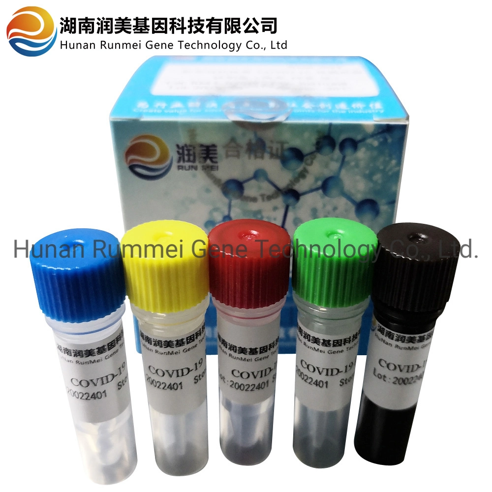 Factory Supply Test Kit FDA, Whole Sale PCR Tests, Rt PCR Test Kit for Virus