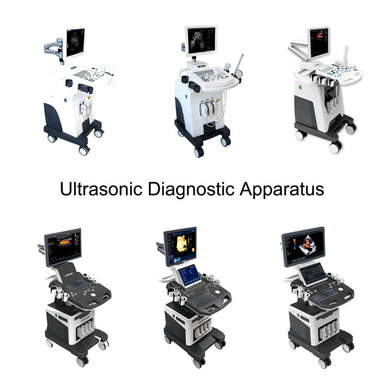 China Digital Diagnostic Instruments Color Doppler Ultrasound Scanner Excellent Performance