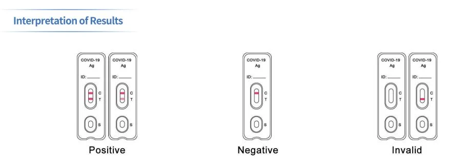 Clungene Easy to Use Antigen Rapid Test Cassette (saliva method) Rapid Test Kit