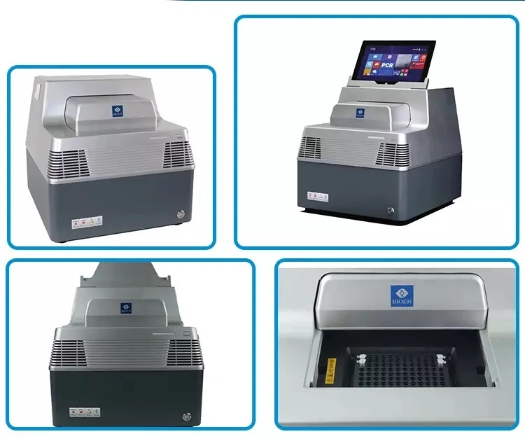 Clinical Chemistry Analyzer Test PCR Termociclador Precio Digital Rt PCR Machine Real-Time PCR Detective System (FQD-96A)