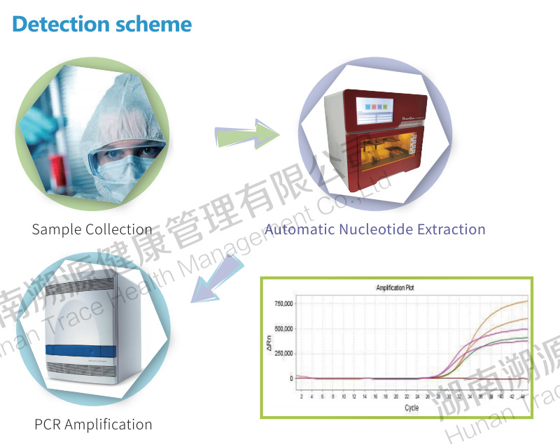 New Virus PCR Detection Test Kit Diagnostic Nucleic Acid Test Kit