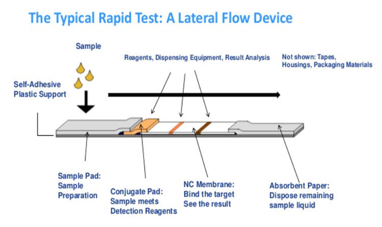 One Step Rapid Test Kit, Igg-Igm Rapid Test Kit Colloidal Gold