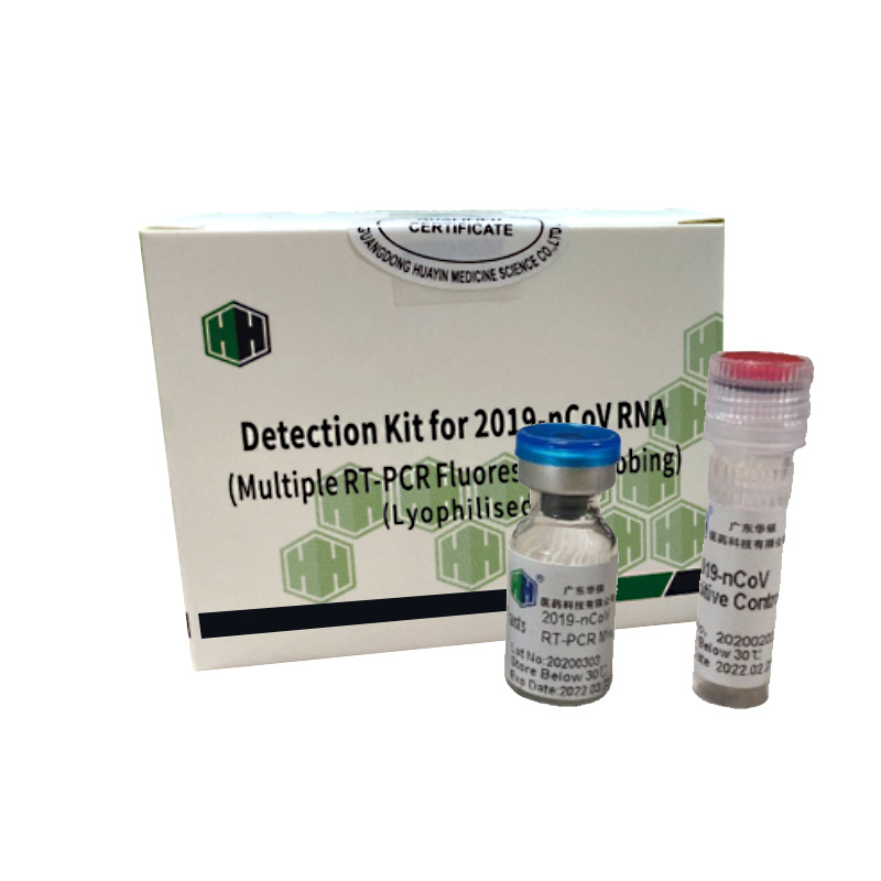 Detection Kit for Rna (Multiple Rt-PCR Fluorescence Probing