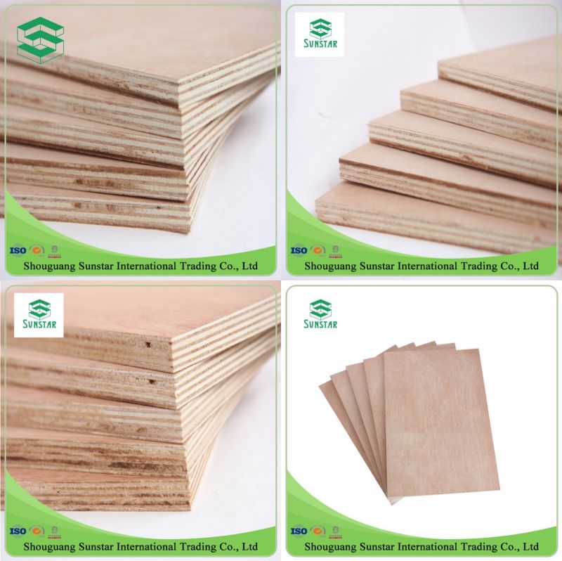 15-19mm Melamine Plywood Poplar Pine Birch Board