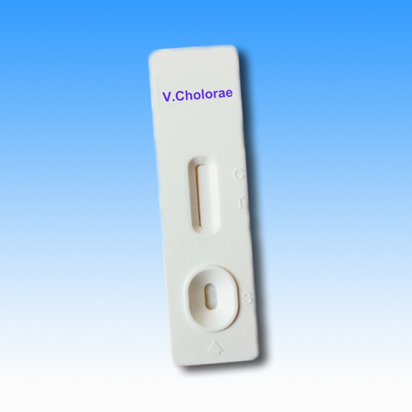 Rapid Diagnostic Detection Vibrio Cholera Rapid Test