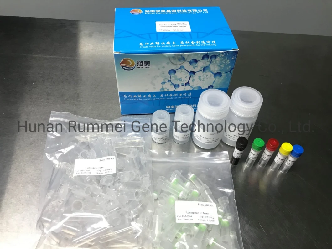 Whole Sale Nucleic Acid Test Kit, Viral Nucleic Acid Detection Kit, Nucleic Acid Test From Factory