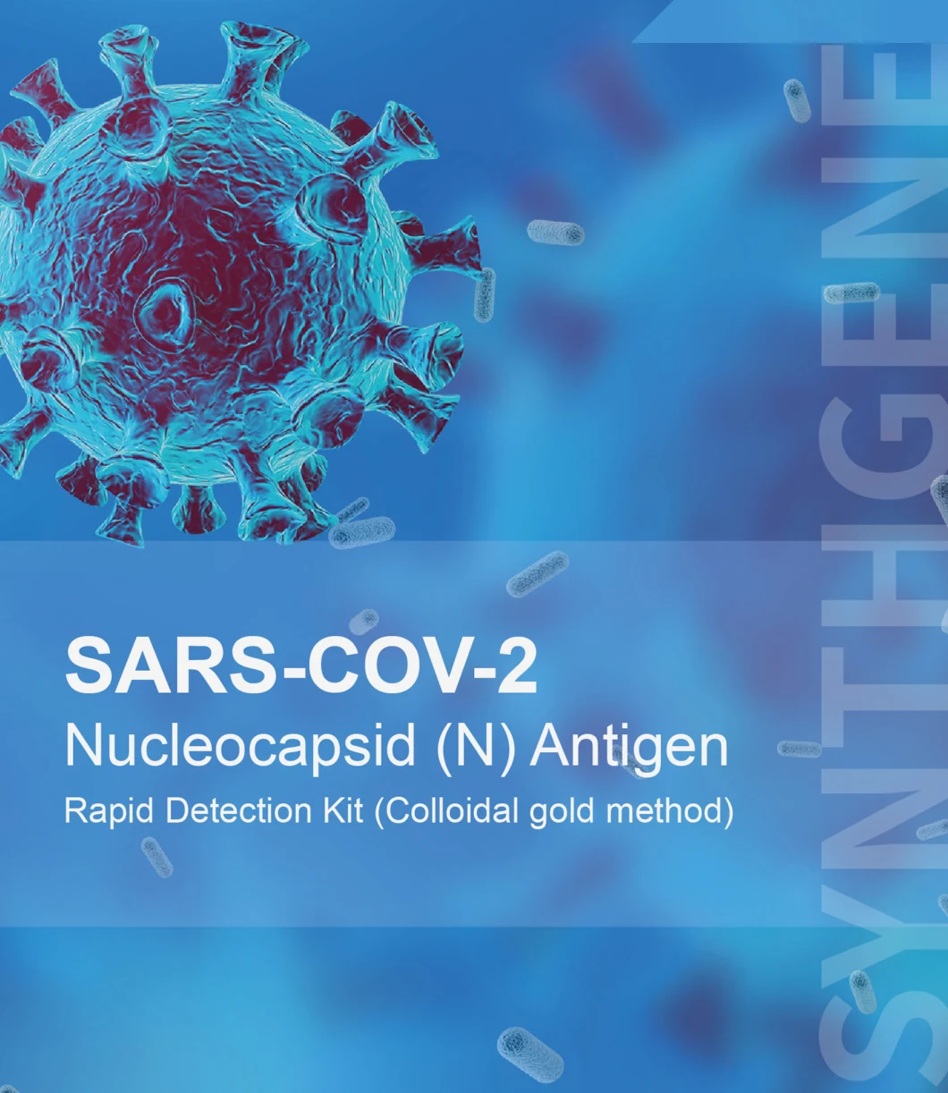 Nucleocapsid Antigen Rapid Test Rapid Diagnostic Test Rapid Test Kit