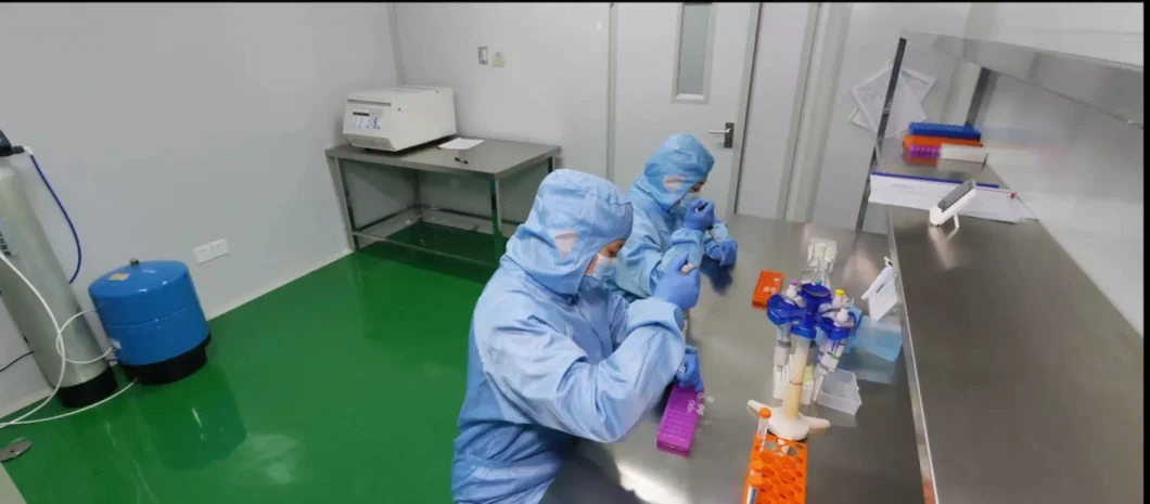 Antibody Rapid Test Kit Test Kit Ce ISO Immunodeficiency Dengue Igm/Igg Test Kit Test Kit