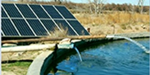 MPPT Inbuilt Solar Water Pump Inverter 3phase Controller