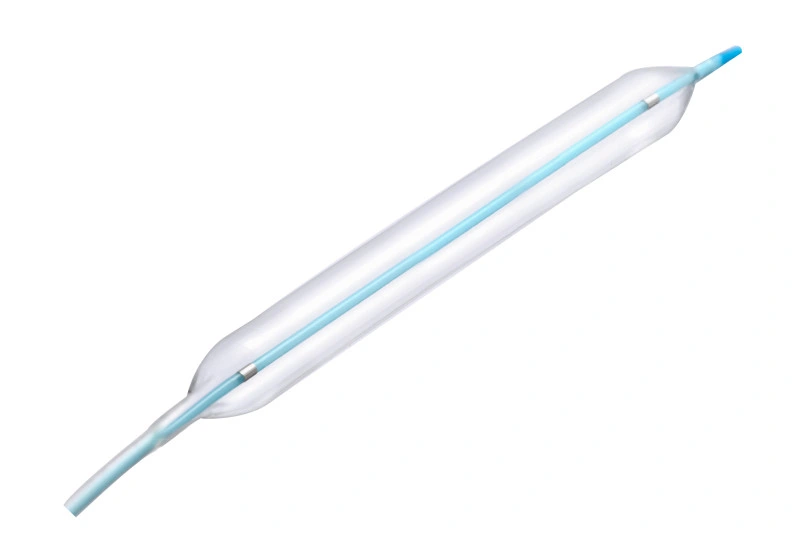 Manufacturer of Ptca Balloon Catheter with Ce Certificate