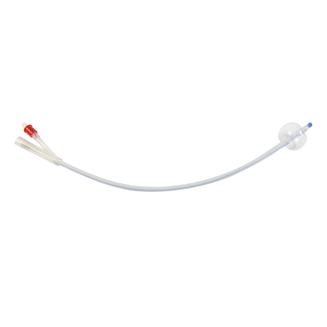 100% Full Silicone Foley Catheters 2way/Drainage Catheter/ CE & ISO