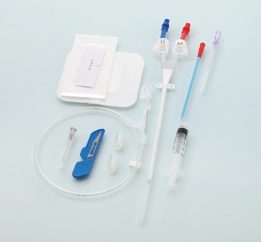 Disposable Medical Double Lumen Hemodialysis Dialysis Catheter Kit Factory Supply