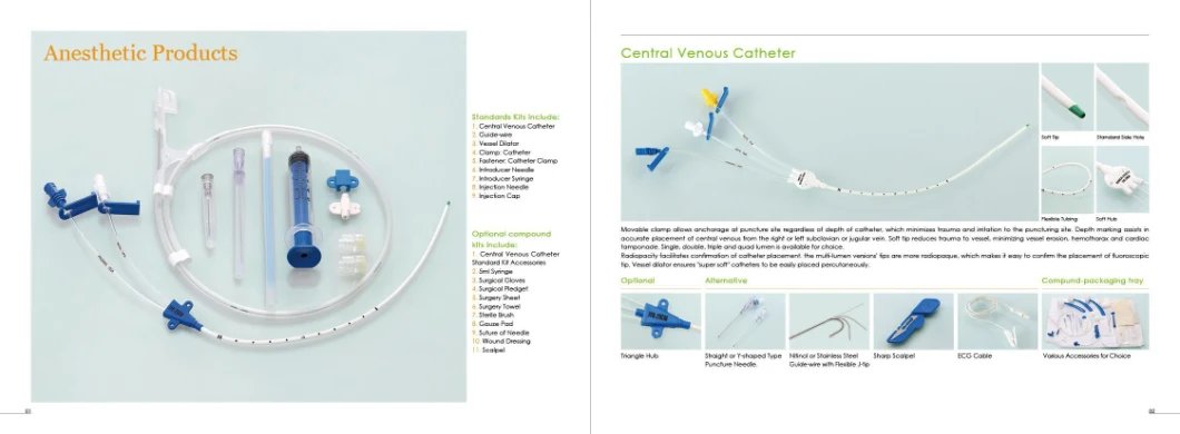 Central Venous Catheter for Catheterization for Sale