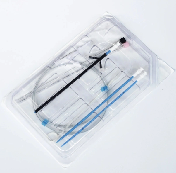 Medical Nephrostomy Catheters Urology Percutaneous Nephrostomy Set with Dilation Catheter