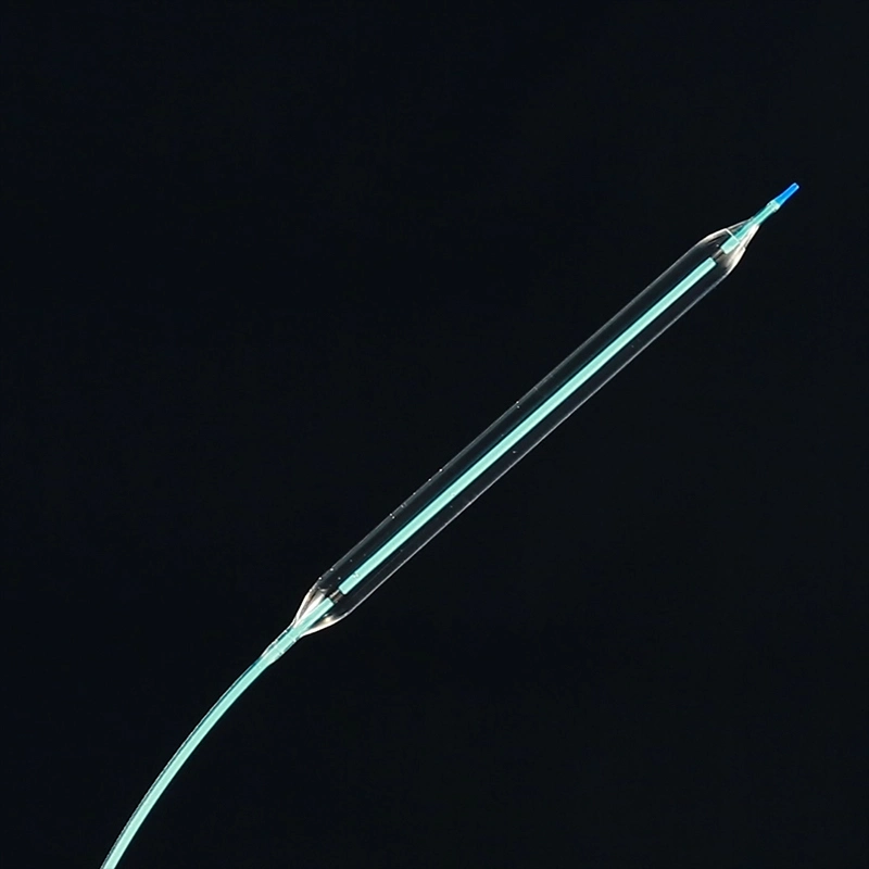 Manufacturer of Medical Ptca Balloon Catheter for Single Use