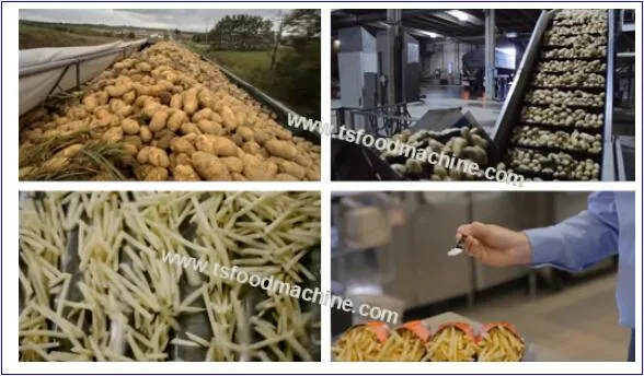 French Fries Frying Machine French Fries Making Machine / Potato French Fries Production Line /Fries Production Line