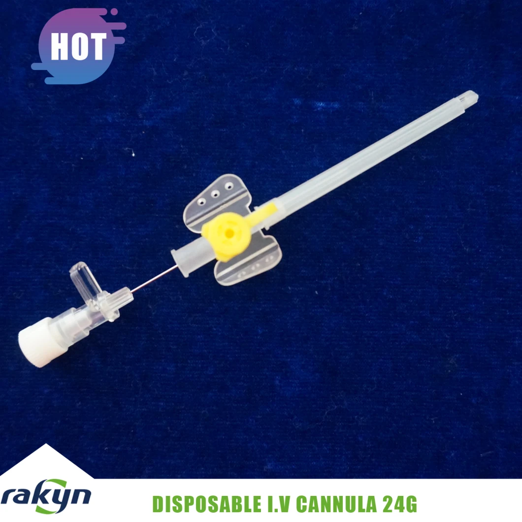 Disposable IV Cannula/Introvenous Cannula/IV Catheter Butterfly Type 24G