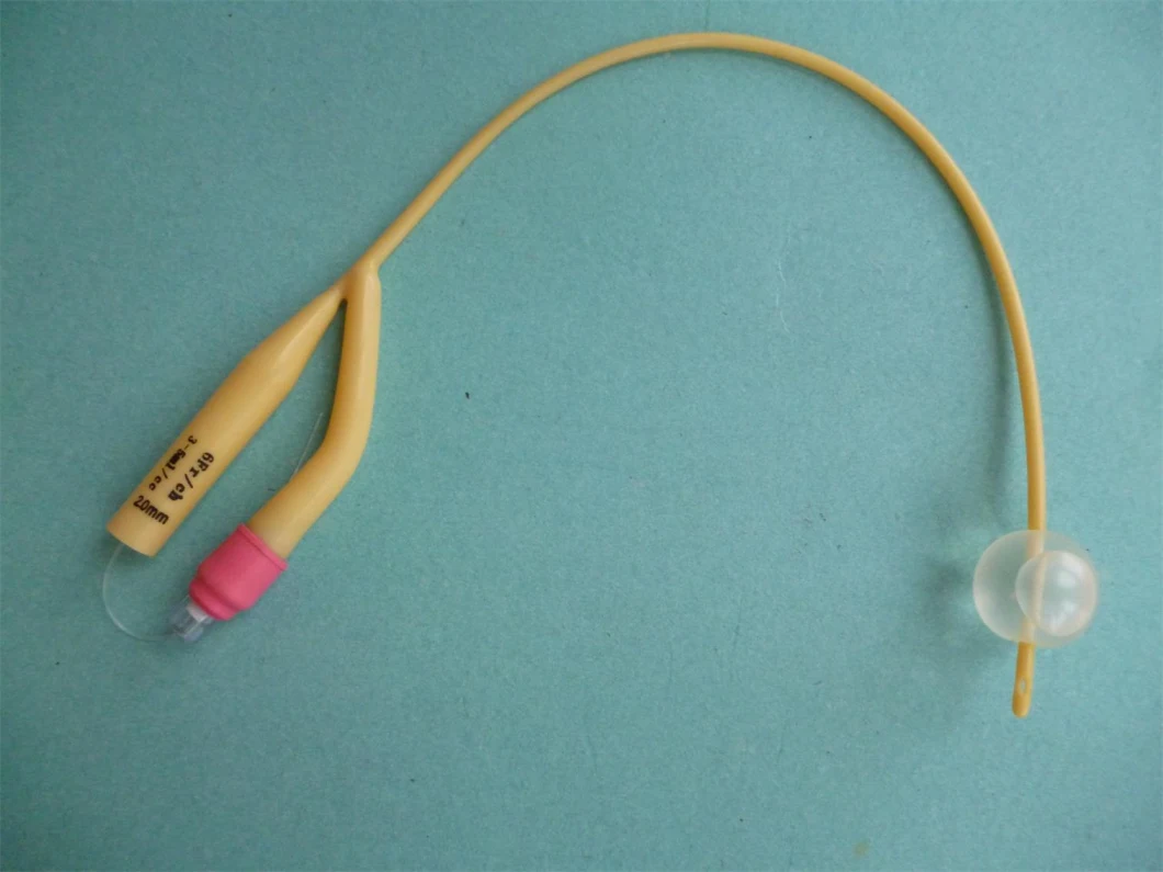 2 Way Foley Catheter Disposable Urinary Catheter Supplies
