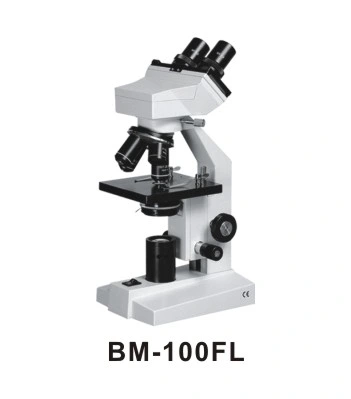 45 Degree Inclined Microscope Bm-100fl 360 Degree Rotatable