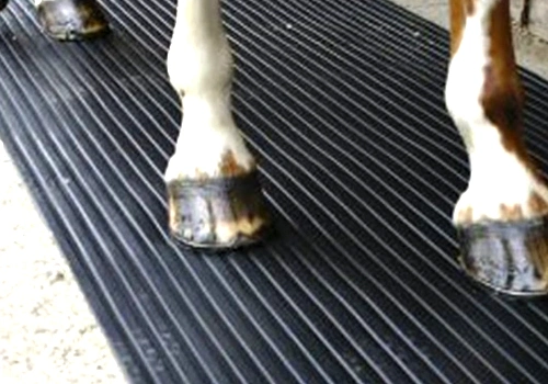 High Quality Agriculture Dairy Cow Mats/Horse Stable Rubber Mats