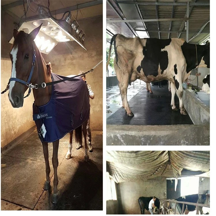Best Quality Durable 17mm Rubber Cow Mats Horse Mat Rubber Dairy