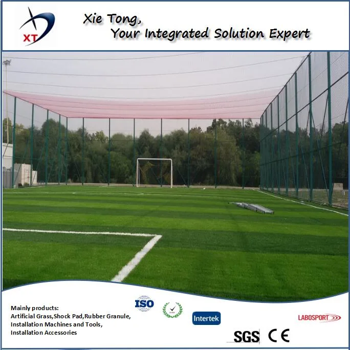Stem Fiber Shape 8 Years Warranty Football Synthetic Turf Soccer Synthetic Grass